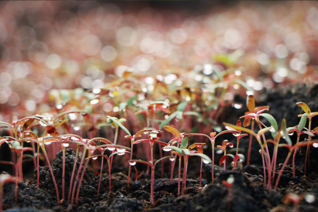 thumbnail of DSC_76489