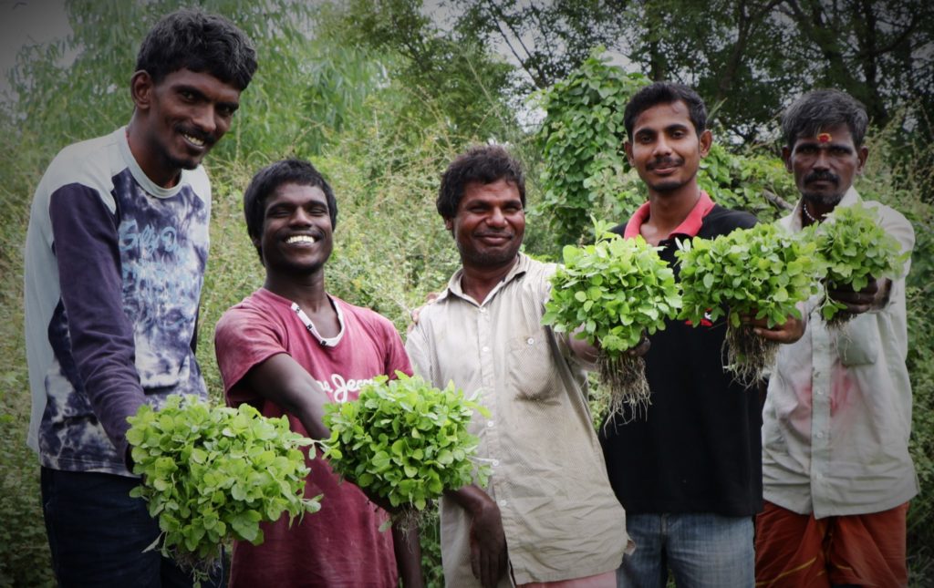 men holding farmed plants