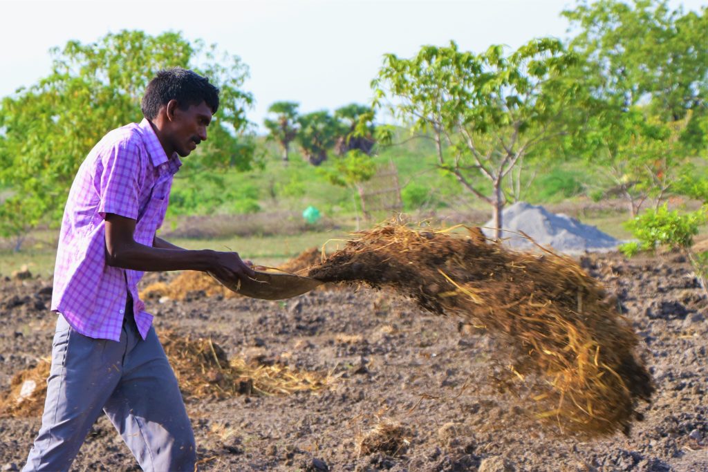 thumbnail of Sendhil