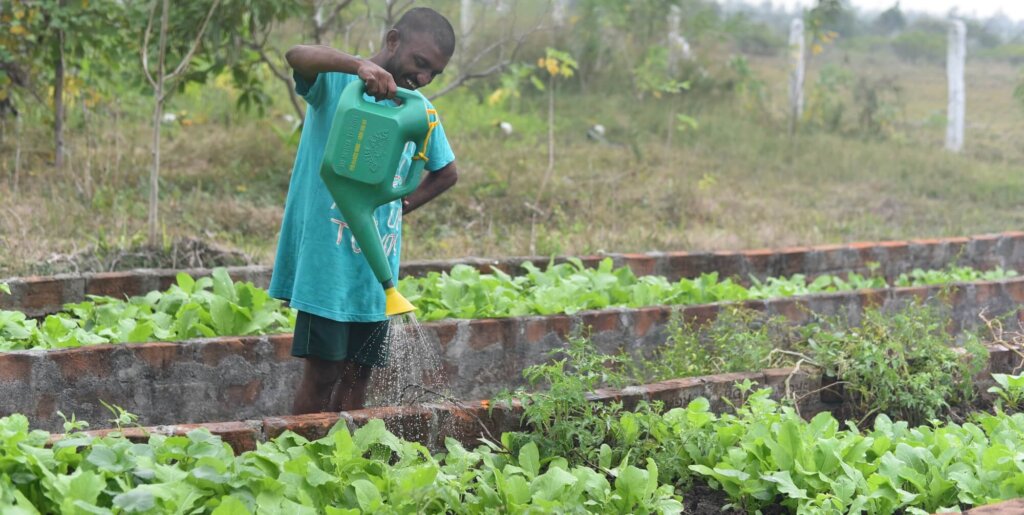 thumbnail of sristi village (12)