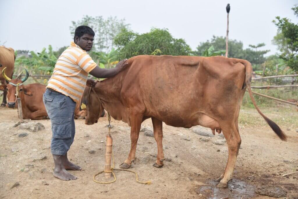 thumbnail of sristi village (4)