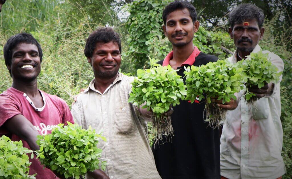 thumbnail of Annual Report 2017 to 2018