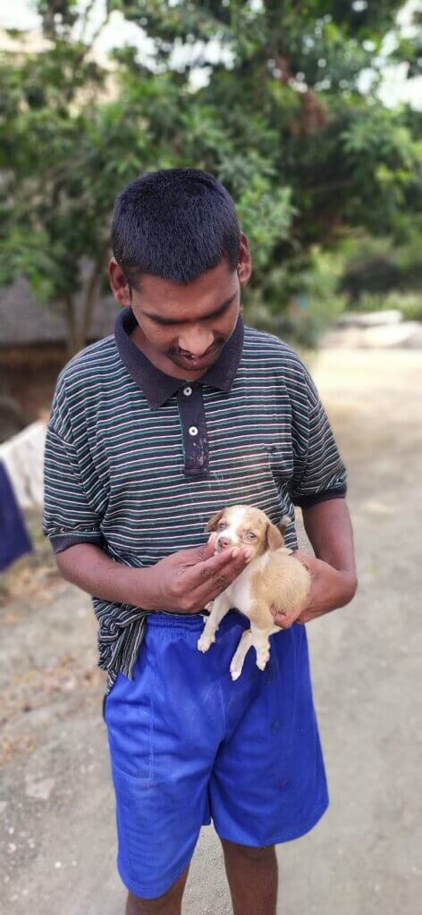 thumbnail of Cover immage 1 newsletter