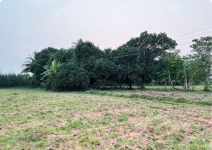 Sristi Women’s Home Brochure – Export (1)